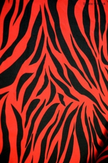 Punk zebra červená